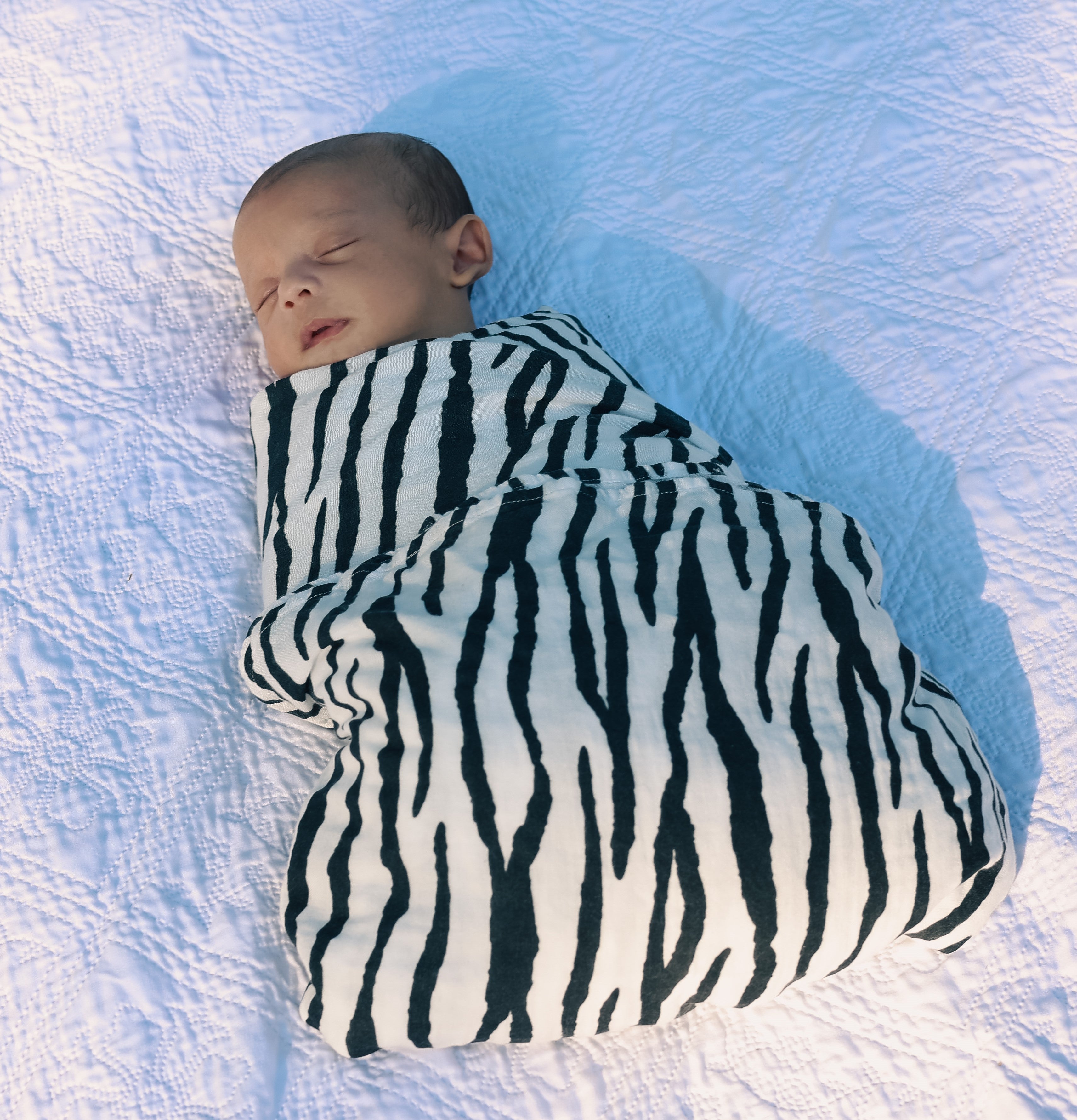 Match Babi to your outfit זברה ונקודות