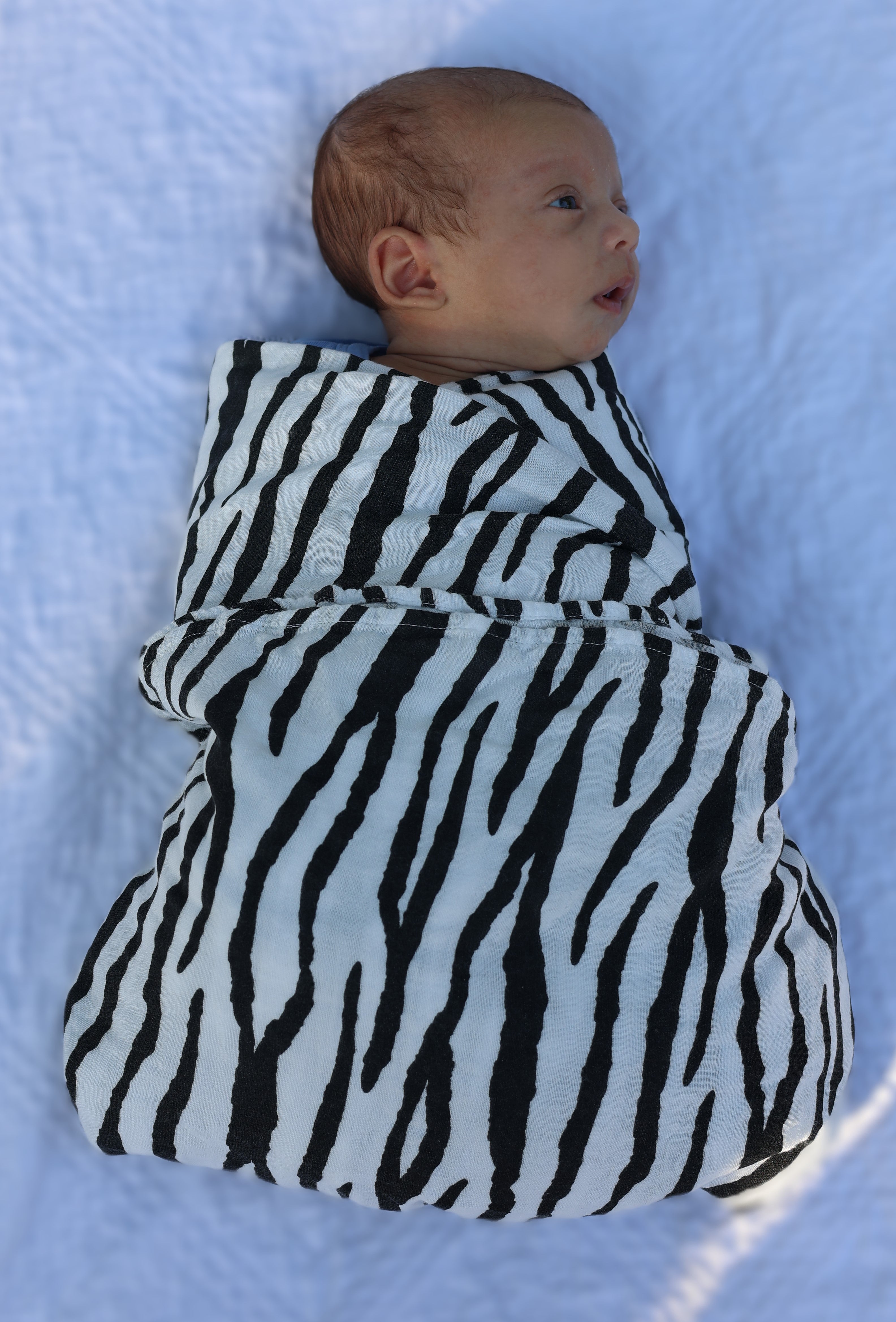 Match Babi to your outfit מנומר וזברה