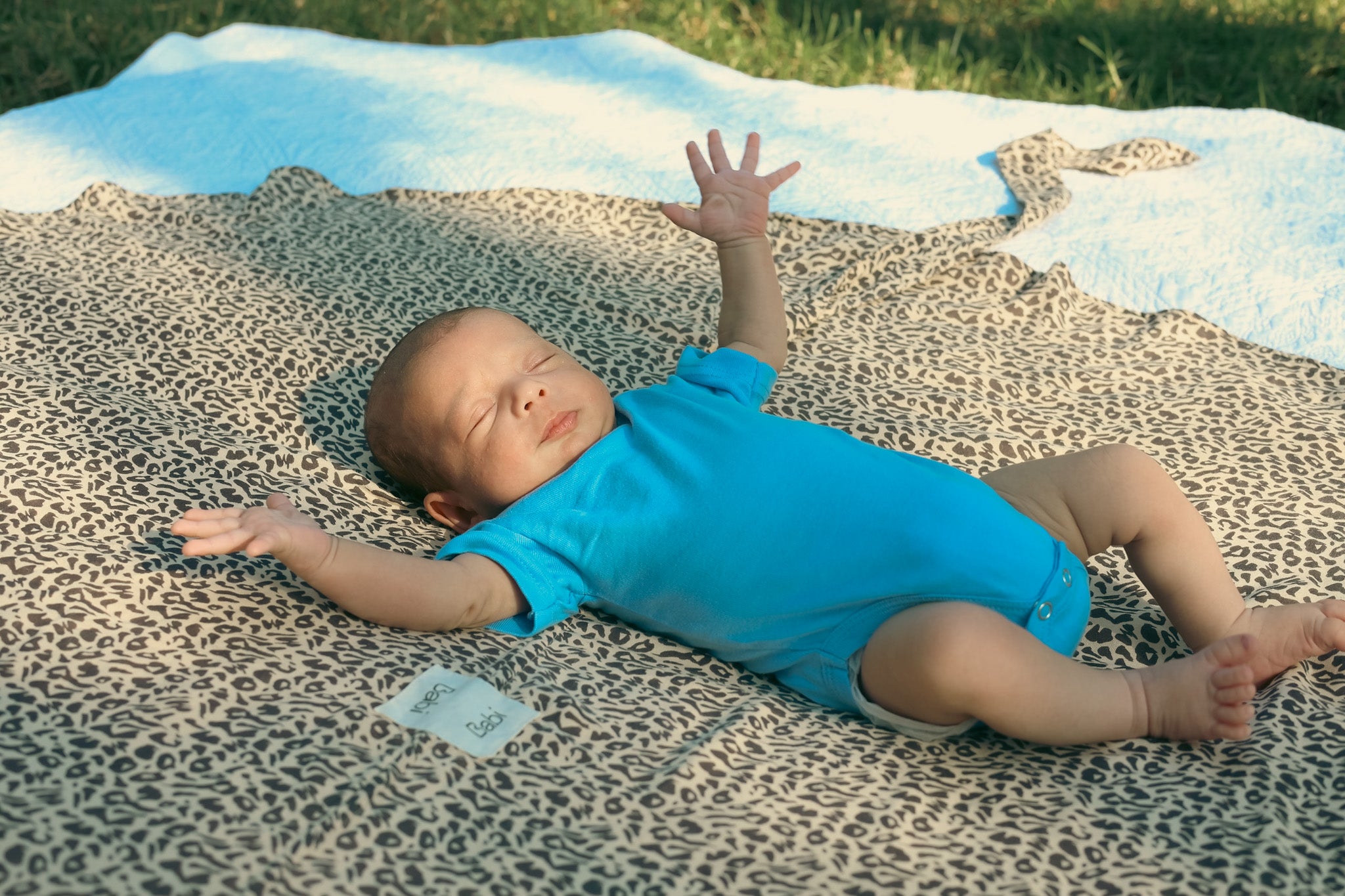 Match Babi to your outfit נקודות ומנומר